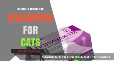 Can Cats Get a Ringworm Vaccine? Facts and Prevention Tips