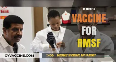 Exploring the Quest for an RMSF Vaccine: Hope on the Horizon?