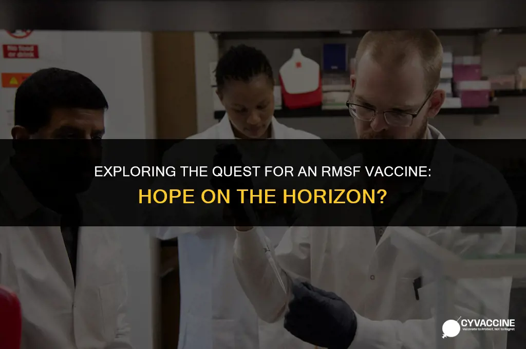 is there a vaccine for rmsf