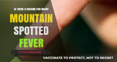Rocky Mountain Spotted Fever: Vaccine Availability and Prevention Strategies