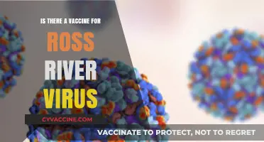 Is There a Vaccine for Ross River Virus? What You Need to Know