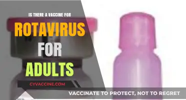 Rotavirus Vaccine for Adults: Availability, Benefits, and Considerations
