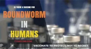 Roundworm Vaccines for Humans: Current Status and Future Prospects