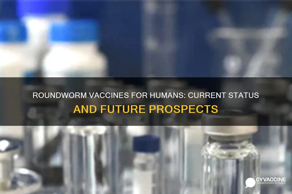 is there a vaccine for roundworm in humans