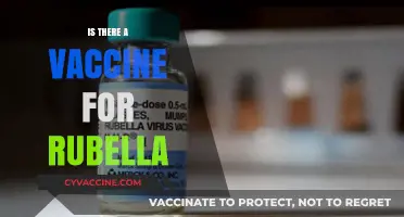 Is There a Vaccine for Rubella? Exploring Prevention and Protection