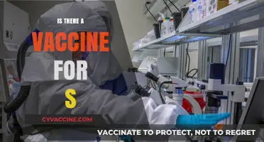 Exploring the Quest for a Vaccine Against S: A Comprehensive Overview