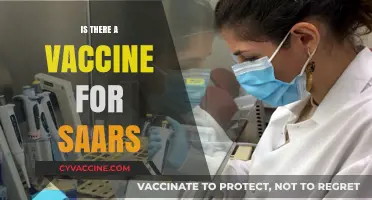 Exploring the Latest on SARS Vaccines: Facts and Updates