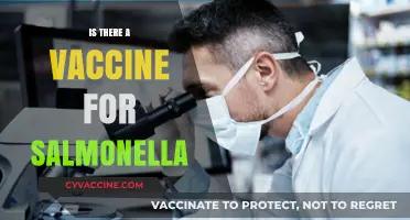 Salmonella Vaccine: Current Status, Prevention, and Future Prospects