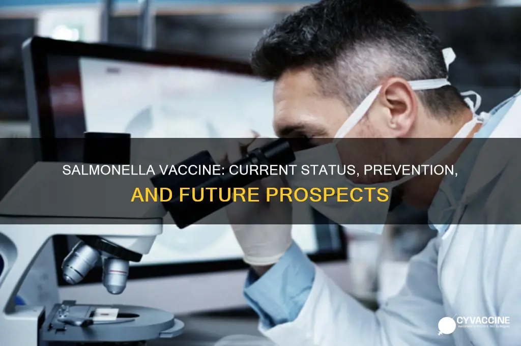 is there a vaccine for salmonella