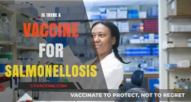 Combatting Salmonella: The Quest for an Effective Vaccine