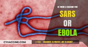 SARS and Ebola Vaccines: Current Status and Future Prospects