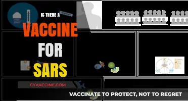 SARS Vaccine: Current Status, Challenges, and Future Prospects Explained