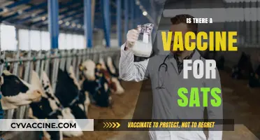 Exploring the Quest for a SAT Vaccine: Facts and Myths