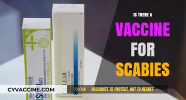 Scabies Vaccine: Fact or Fiction? Exploring Treatment and Prevention Options
