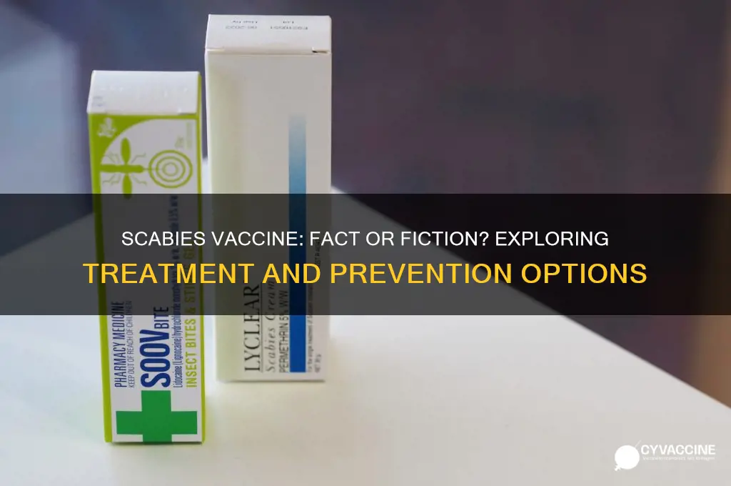 is there a vaccine for scabies