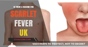 Scarlet Fever Vaccine in the UK: What You Need to Know