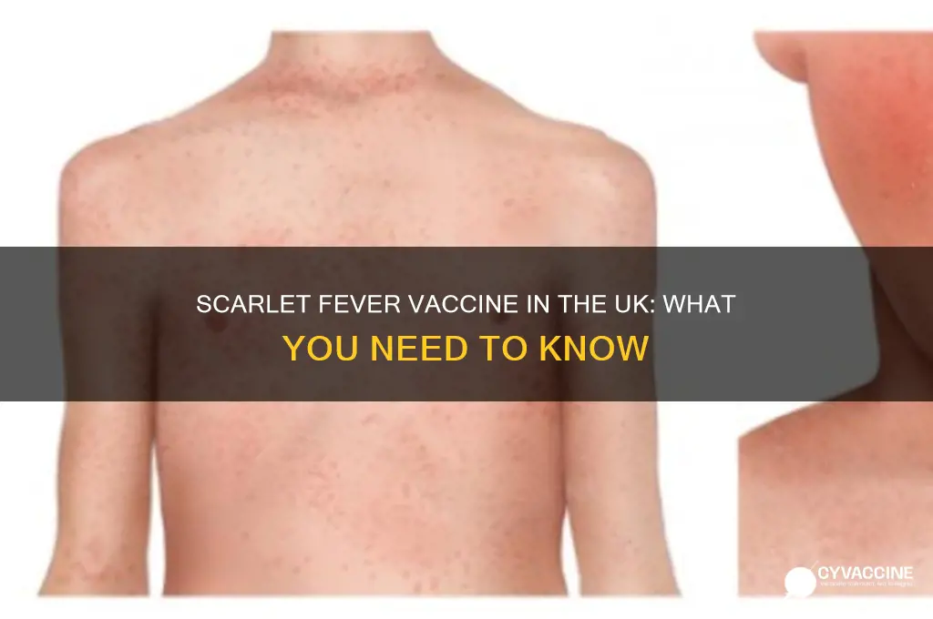 is there a vaccine for scarlet fever uk