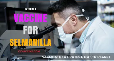 Exploring the Quest for a Salmonella Vaccine: Facts and Progress