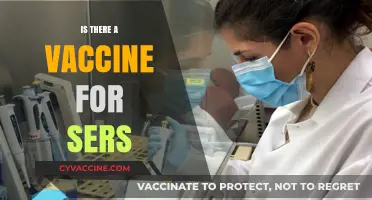Exploring the Quest for a SARS Vaccine: Progress and Challenges