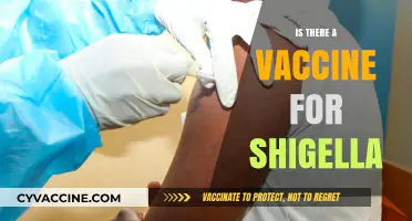 Exploring the Quest for a Shigella Vaccine: Progress and Challenges