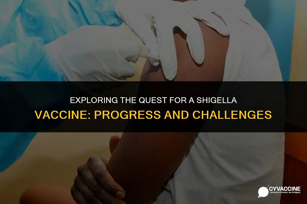 is there a vaccine for shigella
