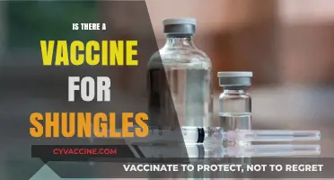 Combatting Shingles: The Quest for an Effective Vaccine