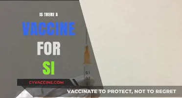 Exploring the Quest for a Vaccine Against 'Si