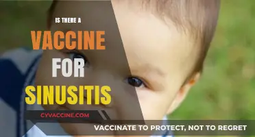 Exploring Sinusitis Vaccination: Facts, Myths, and Prevention Strategies