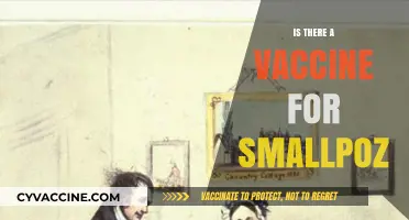 Exploring the Truth: Is There Really a Vaccine for Smallpox?