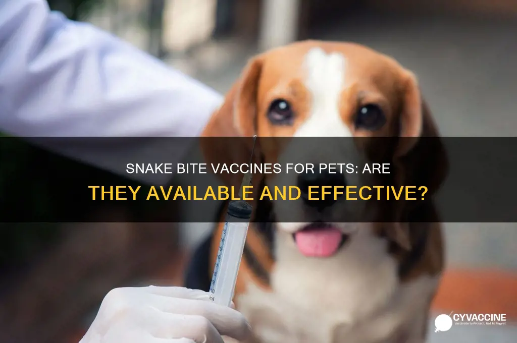 is there a vaccine for snake bites in animals