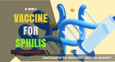 Exploring the Latest on Syphilis Vaccination: Facts and Myths