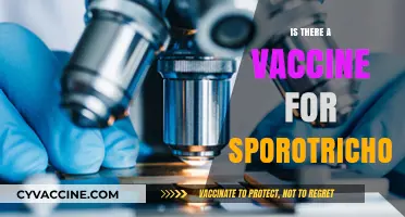 Exploring the Quest for a Sporotrichosis Vaccine: Hope on the Horizon?