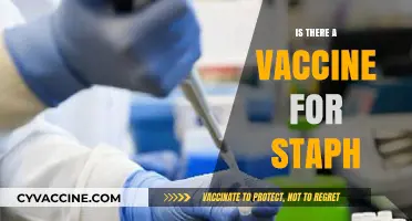Exploring the Latest Advances: Is There a Vaccine for Staph?