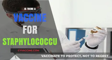 Exploring the Search for a Staphylococcus Vaccine: Facts and Myths