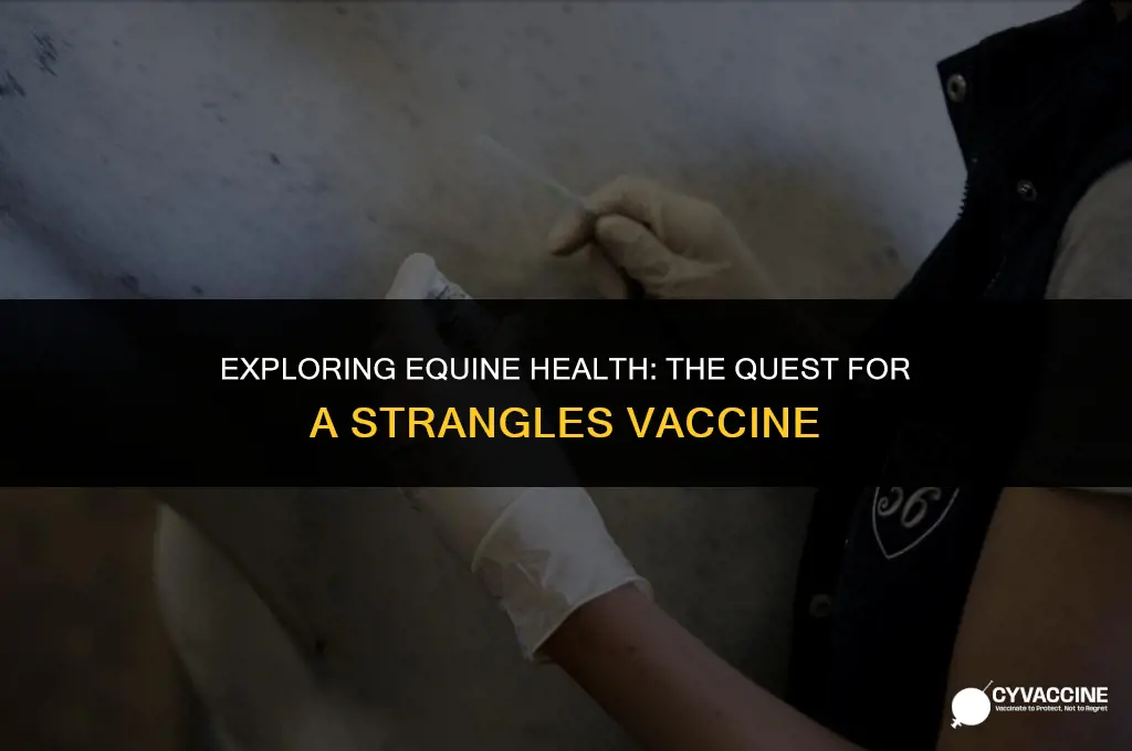 is there a vaccine for strangles