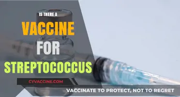Exploring the Latest: Streptococcus Vaccine Development and Effectiveness