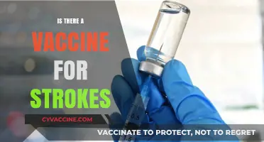 Exploring Stroke Prevention: The Quest for a Protective Vaccine