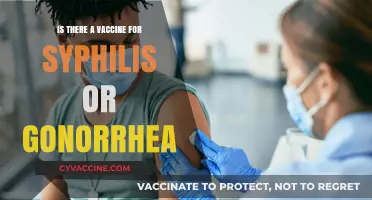 Syphilis and Gonorrhea Vaccines: Current Status and Future Prospects
