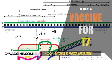 Exploring the Quest for a T7 Vaccine: Facts and Myths Unveiled