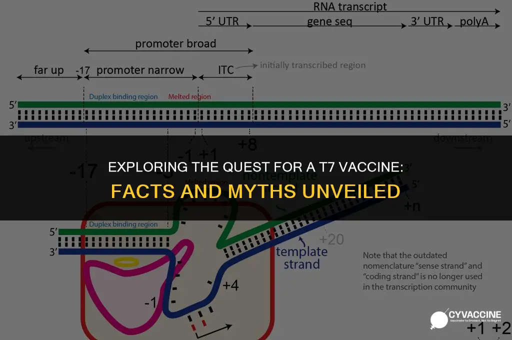 is there a vaccine for t7