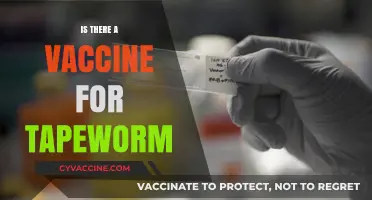 Exploring the Possibility: Is There a Vaccine for Tapeworm?