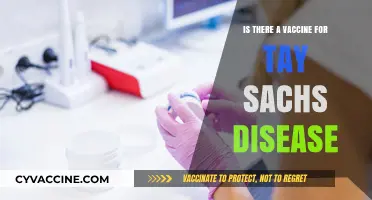 Exploring the Possibility of a Tay-Sachs Disease Vaccine