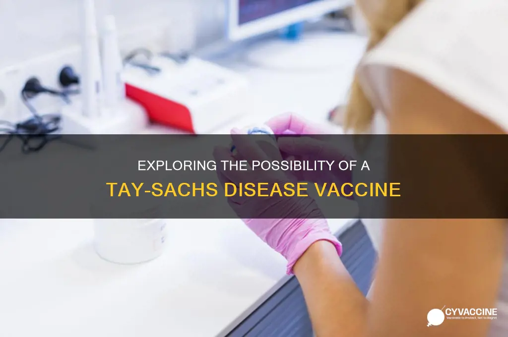 is there a vaccine for tay sachs disease