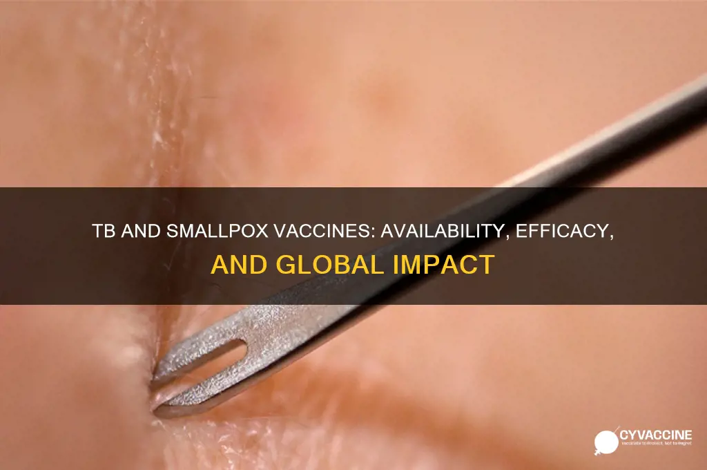 is there a vaccine for tb and small pox