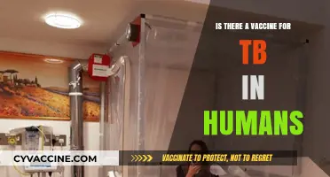TB Vaccine: Current Status and Future Prospects for Humans