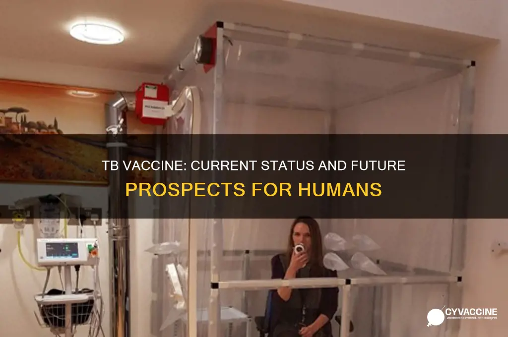 is there a vaccine for tb in humans