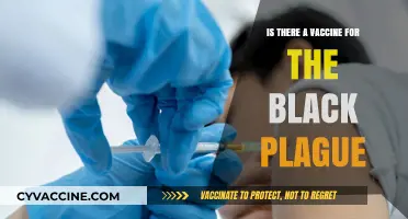 The Black Plague: Vaccines and Treatments