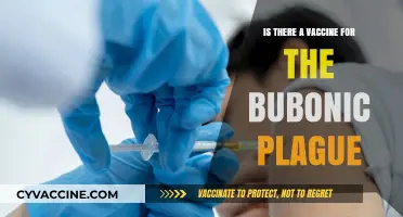 Plague Vaccine: A Historical Perspective
