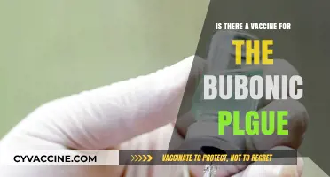 Bubonic Plague Vaccine: Current Status and Future Possibilities Explained