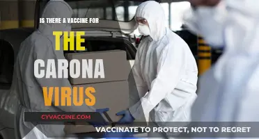 COVID-19 Vaccines: Availability, Effectiveness, and Global Distribution Explained